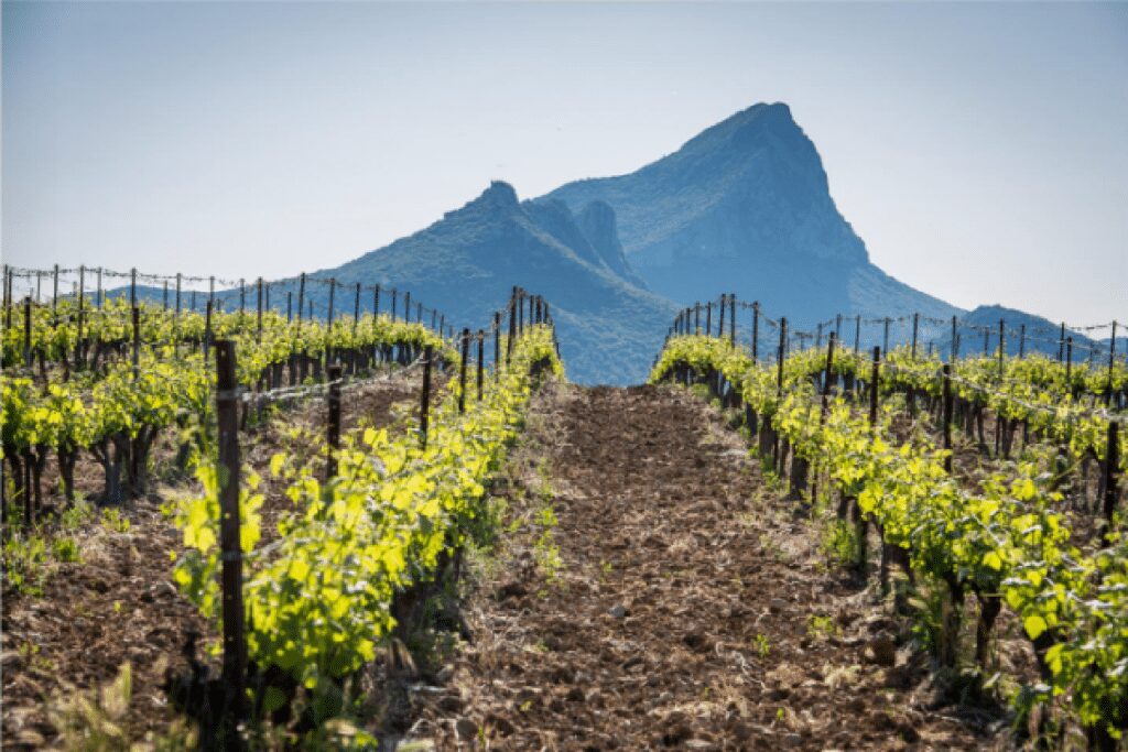 Gîtes de la Caumette avec piscine dans l’Hérault, Pic Saint Loup